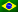 Brazilian