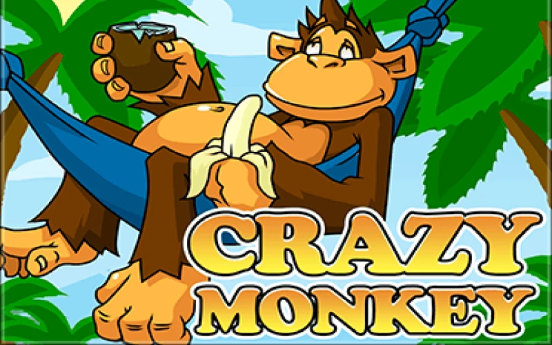 Crazy Monkey is available on the Mostbet platform.